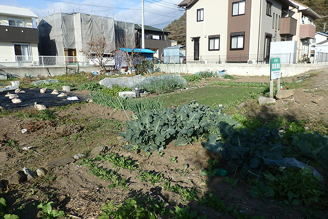 菜園の写真